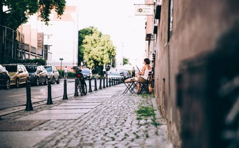 The Complete Guide – WoodStock’s Forest by the Bay The Complete Guide – WoodStock’s Forest by the Bay