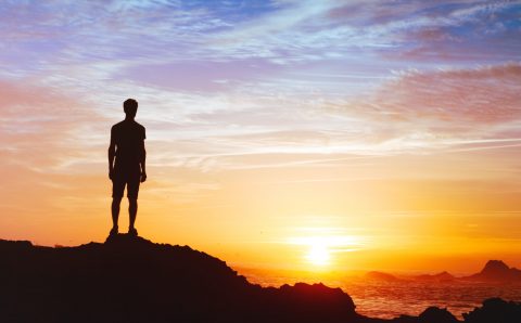 What Are Timeless Principles: The Key to Success in Any Industry