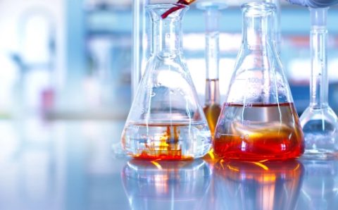 Unveiling the Distinction: Physical vs. Chemical Hazards