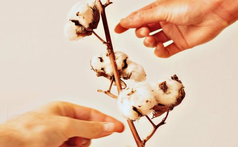 Unveiling the Secrets of Pure Cotton: The Ultimate Guide to Identifying and Appreciating Authentic Cotton Fabrics