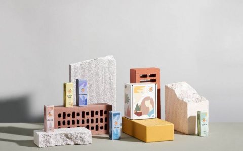 Exploring the World of Biodegradable Plastics: A Comprehensive Guide