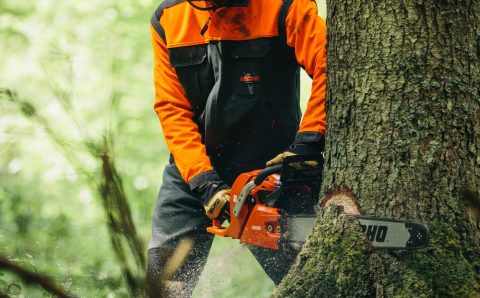 Cutting Edge Wisdom: Determining How Often to Sharpen a Chainsaw Cutting Edge Wisdom: Determining How Often to Sharpen a Chainsaw