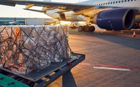 The Transformative Role of Transportation in Our Daily Lives