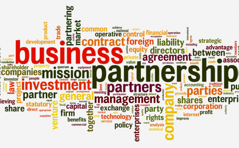 Exploring the Pros and Cons of Company Structures: Unveiling the Advantages and Disadvantages